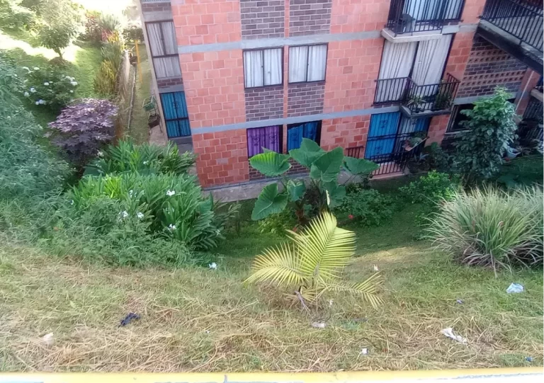 Adopteunarbol-San Antonio-de-Prado