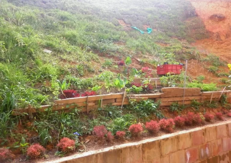 Adopteunarbol-San Antonio-de-Prado