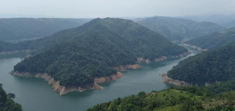 Laguna Samaná Adopte un arbol