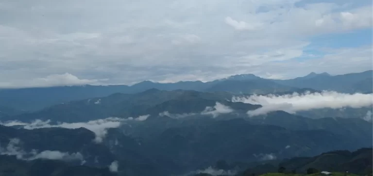 Laguna Samaná Adopte un arbol1