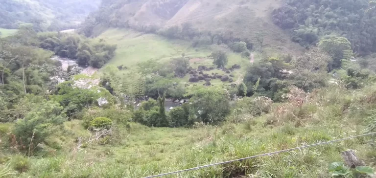 Laguna Samaná Adopte un arbol4