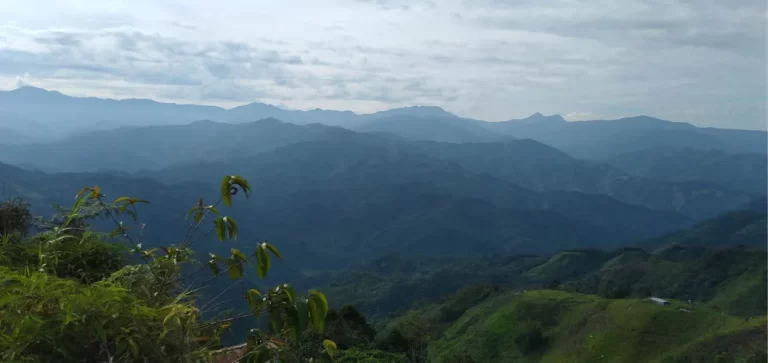 Laguna Samaná Adopte un arbol5
