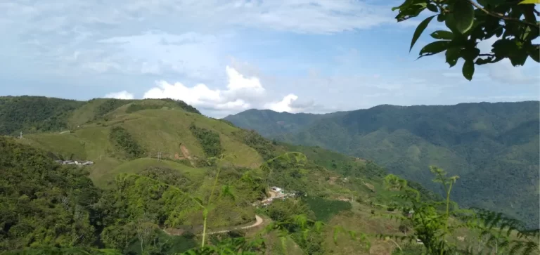 Laguna Samaná Adopte un arbol6