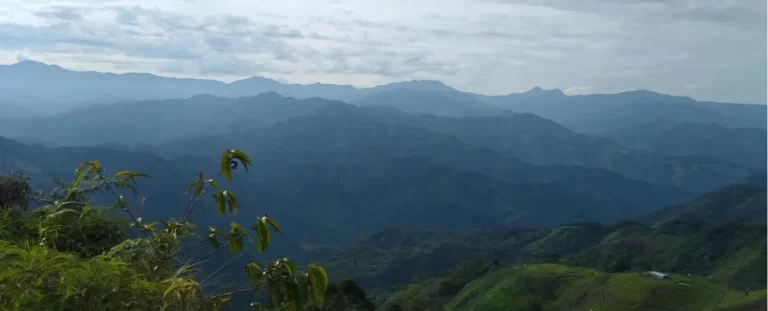 fincavientiaderos_Adopté_un_ Arbol10