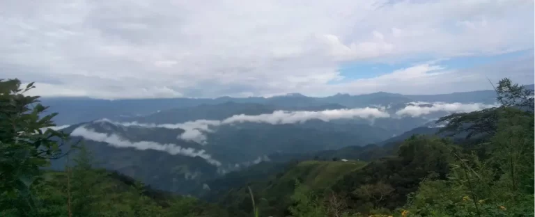 fincavientiaderos_Adopté_un_ Arbol11