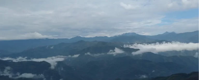 fincavientiaderos_Adopté_un_ Arbol9